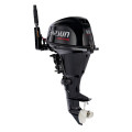 PARSUN F9.9ABMS-EFI PRO в Сургуте