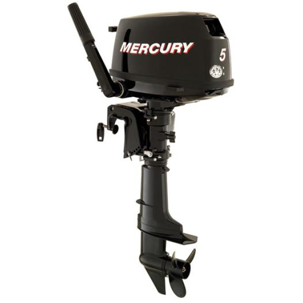 Мотор Mercury ME F 5 M в Сургуте